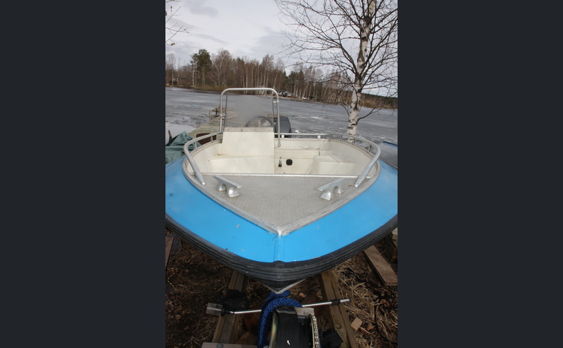 Silver Beaver-kuva-1